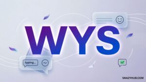 WYS Meaning in Text