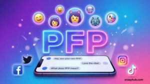 PFP meaning