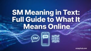 SM Meaning