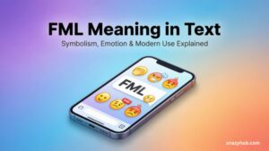 fml Meaning
